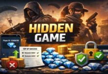 Hidden Game